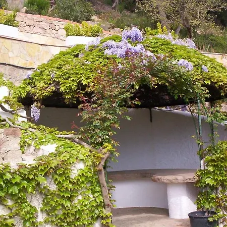 Homeholidaysrentals Rossell Ii Costa Brava Lejlighed *