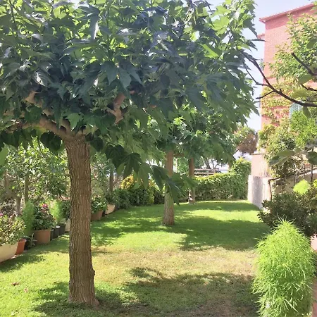 Homeholidaysrentals Rossell Ii Costa Brava * Lloret de Mar